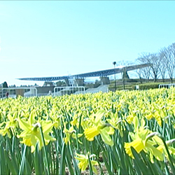 国営ひたち海浜公園